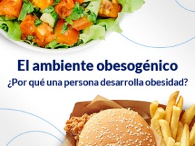 ¿Por qué una persona desarrolla obesidad?: El ambiente obesogénico